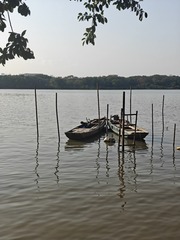 1000016660