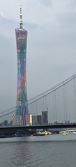 1000022676