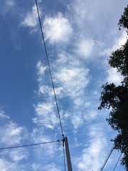 1000008947