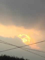 1000006077