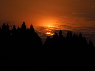 DSCN5366