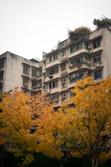 彩云湖-16