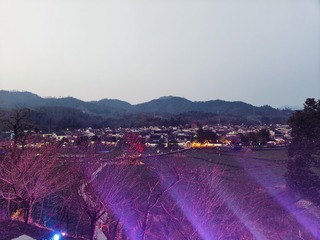 1000012277