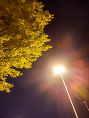 IMG20250403213703