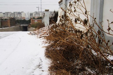 雪３