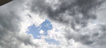 1000010484