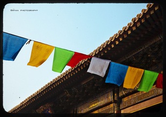 IMG_7174.jpg