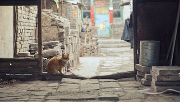 IMG_7557.jpg