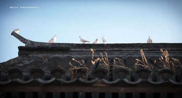 IMG_8001.jpg