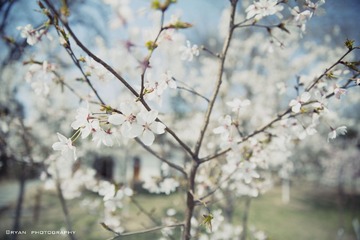 IMG_1491.jpg
