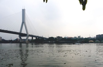 P1010866.jpg
