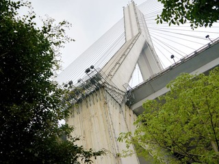P1010924.jpg
