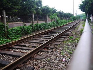 P1020002.jpg