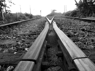 P1020010.jpg