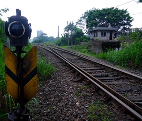P1020007.jpg