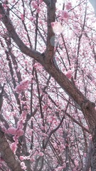 B917B423-2875-4D68-BC5A-F109A2918131/L0/001