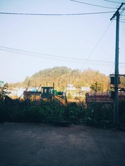 2274118