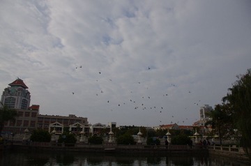 IMGP0315.JPG