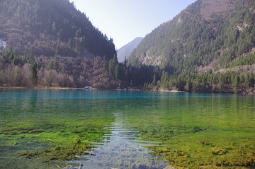 IMGP1290.JPG