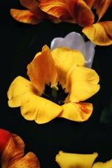 001