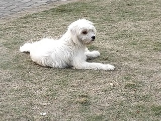 1060403