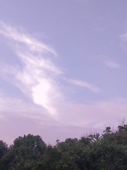 1022670