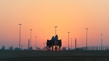 jka_LVT_Dubai_2010_11_26_01887.jpg