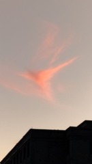 1000522729