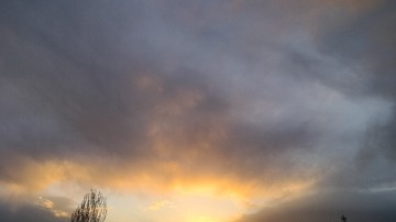1001020201