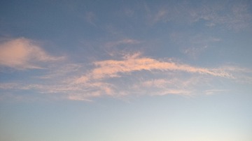 1001059205