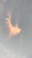 1001059207