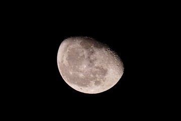 150445