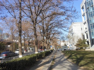 DSCN1505.jpg