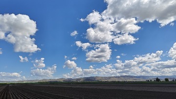 1000050584