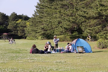 _MG_3727.JPG