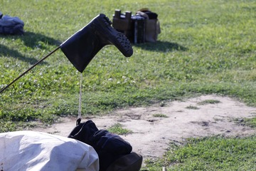 _MG_3731.JPG