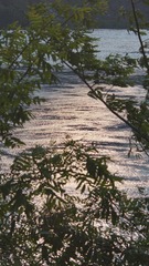 DSC07242