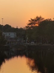 1000056592