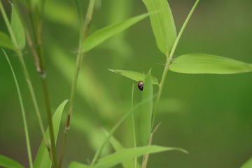 001