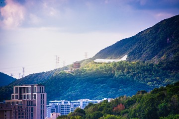 29072