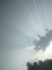 107219