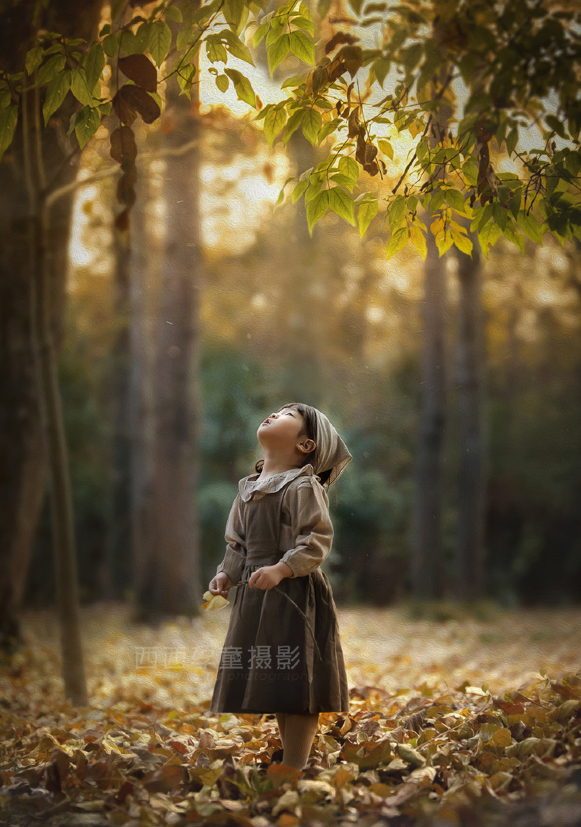 寻找秋天的少女
