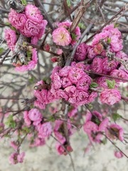 IMG20250504171053