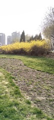 1000003643