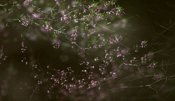 E72390F6-B3FA-421B-827F-B068BB696AF7/L0/001