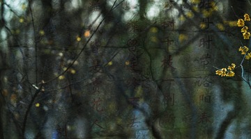 9CE763C3-B493-47CA-A82C-CF45C45BD5C2/L0/001