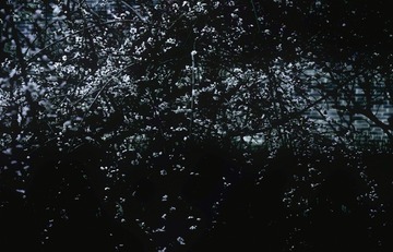 9F6C4366-4561-4E43-8E55-80758E7E1F6B/L0/001