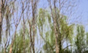 231DE089-F267-48EA-B241-0CE7BF2BA309/L0/001