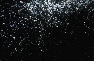 C7166E35-C4C0-413B-A2D6-21EECC09A34D/L0/001