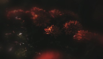 81EE7D88-7EC2-42AB-9354-0ED15C1AE58B/L0/001